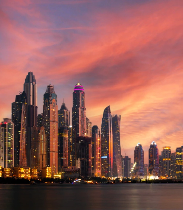 Dubai land department video call service